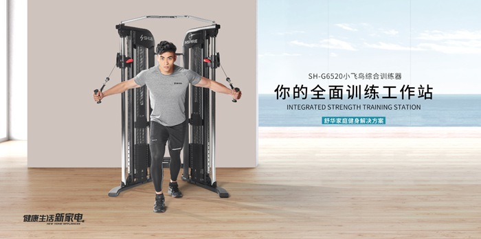 南宫NG28健身器材-小飞鸟综合训练器SH-G6520 南宫NG28健身器材-小飞鸟综合训练器SH-G6520